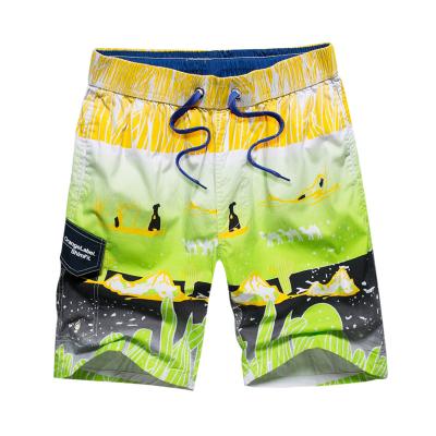 China Anti-UV cotton printed boardshorts surf board shorts beach wear summer factory price cheap new design for sale