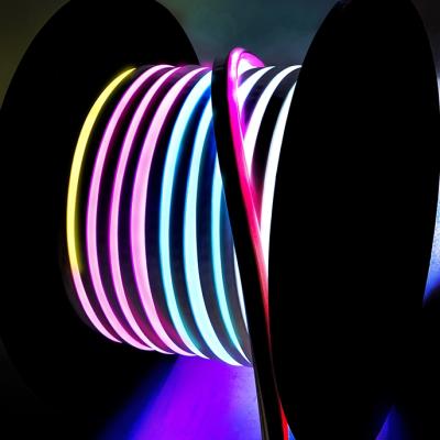 China Lighting and decoration IP67 120V dmx rgb led neon lights 12 volt led neon hose jet neon light 110v for sale