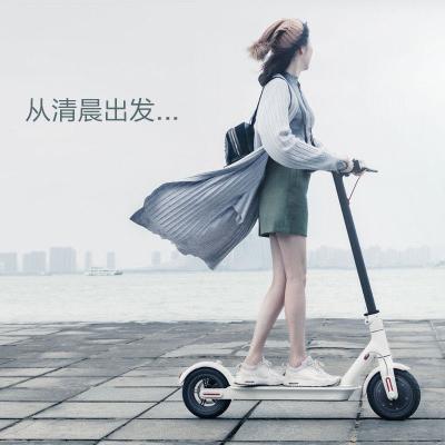 China Outdoor sports Feierdun cheap wholesale portable adult portable foldable wheel battery electric scooters both bike prices for sale