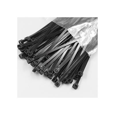 China PA6/PA66 Direct Selling Professional Black Cable Tie With Good Quality for sale