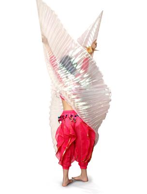 China Transparent Silver Belly Dance Wings , Belly Dancing Costumes For Children for sale