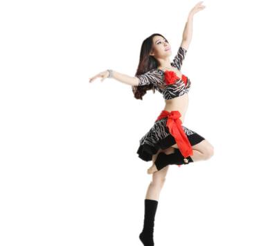 China Korea Mesh Professional Belly Dance Costumes for Practice of Bra / Belt and Leggings for sale