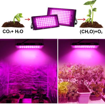 China Seed Starting Amazon Hot Selling Led Grow Lighting 50w 100w Spectrum Led Plant Growing Light for sale