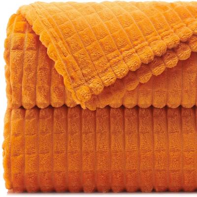 China Anti-Bacteria Customized Luxury Home Textile Super Soft Plush Fleece 100% Polyester Throw Blanket for sale