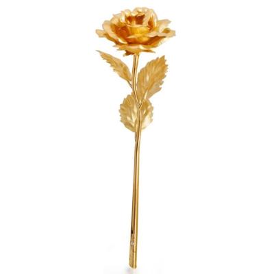 China Wholesale Natural Valentine's Day Gold Foil Contact Gifts Holiday Events Memorial Wedding Gifts Roses for sale