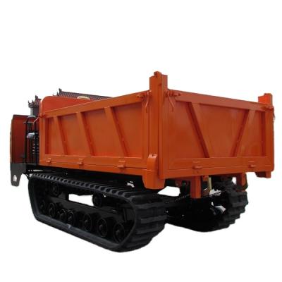 China Construction of Rubber Track Good Quality Crawler Unloader Crawler Track Dumper Hot Selling Crawler for Sale for sale