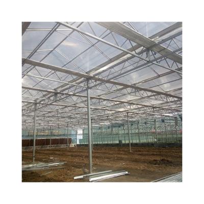 China Factory Price Eco Friendly Greenhouse Glass Dome Industrial Glass Greenhouse for sale