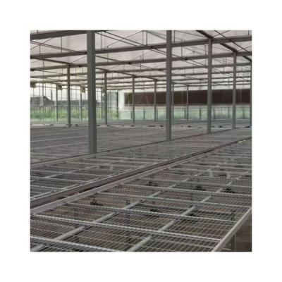 China Eco Friendly Multi Span Glass Greenhouse Glass Greenhouse Wholesale Price for sale