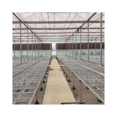 China Eco Friendly Skillful Clean Glass Greenhouse System Commercial Glass Greenhouse for sale