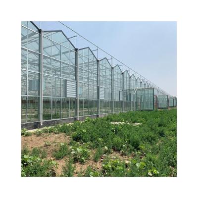 China Eco Friendly Commercial Glass Greenhouse Glass Greenhouse Wholesale Price Hydroponic Greenhouse for sale