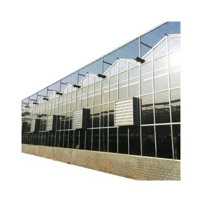 China Eco Friendly Double Glass Greenhouse Glass Greenhouse Glass Factory Supply Price for sale