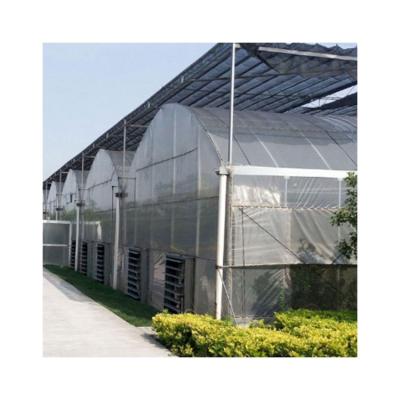 China Eco Friendly Multi Span Film Greenhouse Reinforced Film For Greenhouses for sale