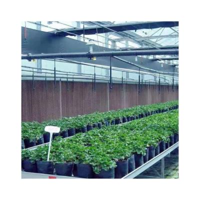 China Top quality eco friendly greenhouse film tie pe film greenhouse for sale