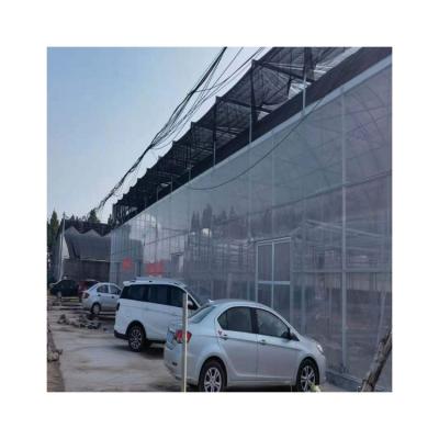 China Eco-Friendly Greenhouse Plastic Greenhouse UV Plastic Sheet Greenhouse Sales UV Plastic Sheet for sale