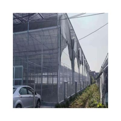 China Competitive Price Eco Friendly Plant Multi-span Film Greenhouse Film Vegetable Micron for sale