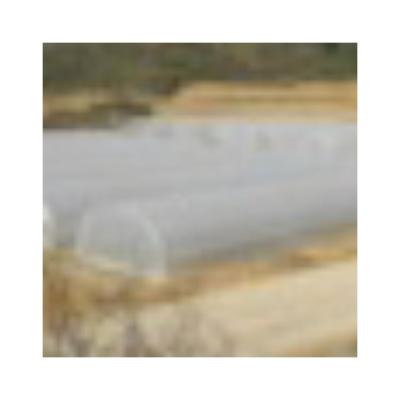 China Top Quality Eco Friendly Vegetable Greenhouse Plastic Sheet UV Film Greenhouse for sale