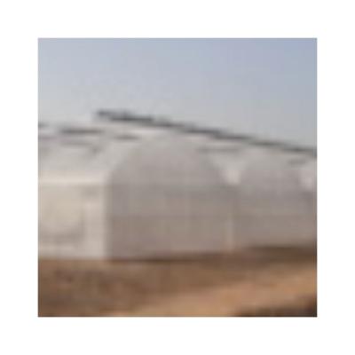 China Environmentally Friendly Sealing Greenhouse Film Greenhouse Agricultural Plastic Reinforced Film For Greenhouse for sale