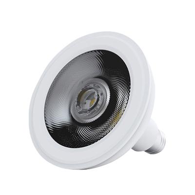 China New Residential High Quality E27 E26 B22 Housing E27 Par 30 Smart Bulb Led 15W With Single CCT for sale