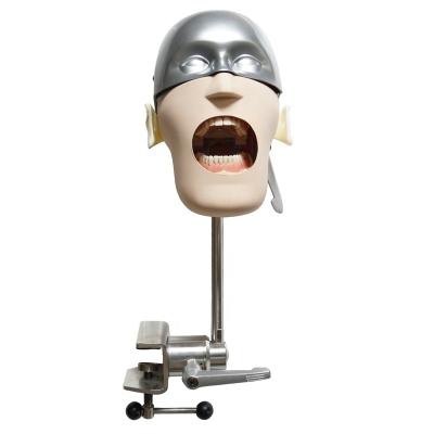 China Durable Dental Simulator Dental Manikins Phantom Head Models Demonstration Dental Teeth Model for sale