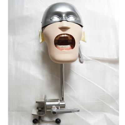 China Durable dental training used dental models nissin dental phantom head manikins simulator dental models for sale