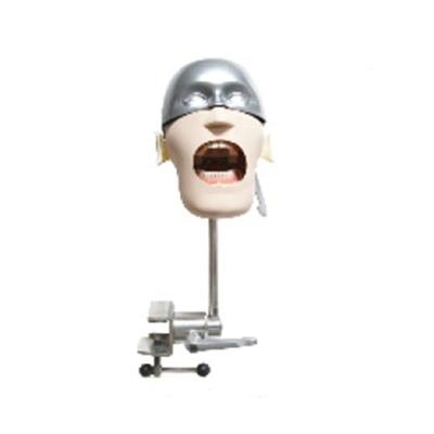 China Dental Models NISSIN Manikins Single Head Phantom Head Models For Dental Education for sale