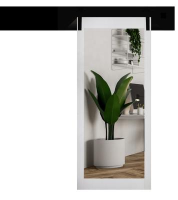 China Modern Design Windproof Mirror Barn Doors MDF Interior Solid Glass PVC Sliding Doors For Apartment With Black Hardware for sale