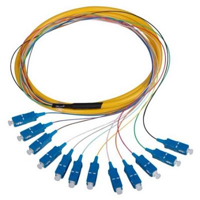 China FTTH FTTB FTTX Network FTTH Customized 12 Core SC PC Packet Fanout Singlemode Fiber Optic Pigtail for sale