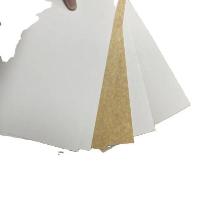 China Sinosea Factory Direct Sale Carrier Moisture Proof Eco-friendly Board Paper For Shopping Paper Bag for sale