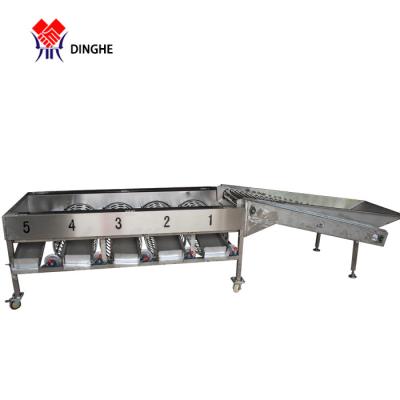 China Fruits and Vegetables Processing Strawberry/Cherry Sorter/Cherry Sorter Grading Machine for sale