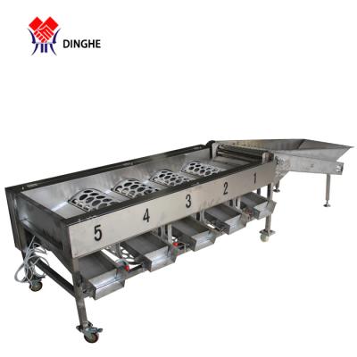 China Fruits And Vegetables Processing Orange Lemon And Apple Tomato Grading Sorter , Fruit Washing And Waxing Sorter for sale