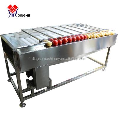 China Root Vegetable And Fruit Banana Washing Machine /Orange Washing Machine / Sweep Washing Machine For Lemon for sale