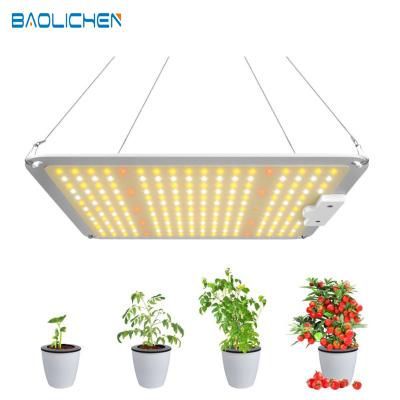 China Seed Starting Dimmable Full Spectrum Hot Selling Quantum Hydroponic Dish Led To Grow Light for sale