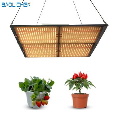 China Seed Seed Growing Professional Full Spectrum 600W Factoory Plant Grow Greenhouse Led Lighting For Growing Light Plant Light for sale