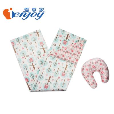 China Anti-pilling Ienjoy Made in China Whale and Owl Print Cartoon Micor Mink Baby Blanket Travel Set Include Pillow for sale