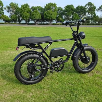 China Wholesale Custom Foldable Electric Bicycle Ebike 350w 36v 12 Front and Rear Motor Wholesale 14 USA Warehouse Foldable Electric Bicycle for sale