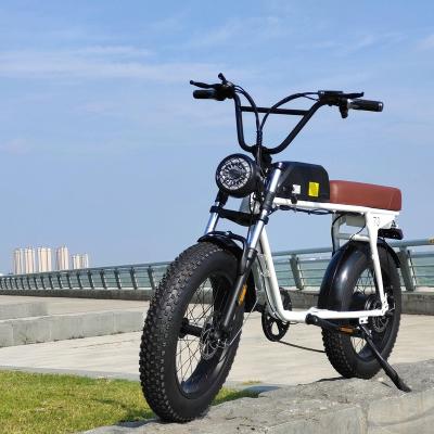 China Steel Electric Bicycle Mankeel Mk011 US Eastern Europe Battery 48V 750W Wholesale 20 Inch Tire Ebike Eu Warehouse Electric Bicycle City Bike for sale