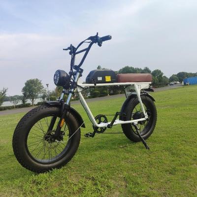 China 48V 1000W Steel Electric Bicycle With 26