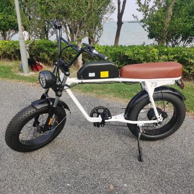 China Steel Fast Speed ​​48 Volt 1500 Watt Powerful Electric Dirt Bike e Bike For Adults for sale