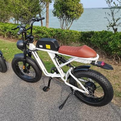 China 48V 1000W Steel Electric Bicycle With 26