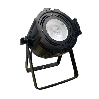 China Theme Park Factory direct sales 100W Surface Light Suitable for stage disco theme parks Waterproof lamp for sale