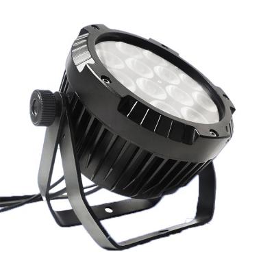 China Theme Park 6in1 / 5in1 / 4in1rgba Led Par64 Light Dmx Ip65 12pcs 12w 4in1 Led Par Dmx Outdoor Waterproof Silence Led Par Can Light for sale