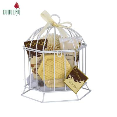 China Best Selling Exfoliator Wire Birdcage Skin Care Natural Body Exfoliator Scrub Gift Bath Set With Eva Sponge zu verkaufen