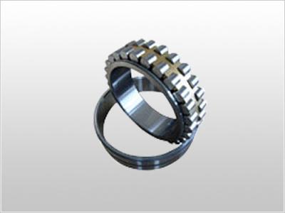 China NU217E, NU2217, NU317E, NU3317E, NU218E, NU3318E, NU2219E Cylindrical Roller Bearing for sale