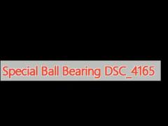 Special Ball Bearing DSC_4165