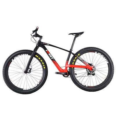 China Racing Pro Super Light 10.6KG MTB Carbon Bike 29+ Mountain, MTB 29er Bike, 29 Plus Carbon Complete Bike for sale