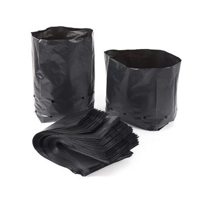 China Garden Planting Manufacturers Supply Growing Plastic Bags Garden Planting Bags For Tree for sale