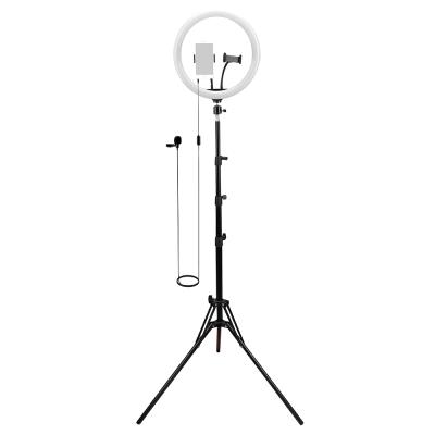 China Axrtec EL-12KM 12 Inch Selfie Ring Light With Microphone And Mobile Phone Holder Portable Light Kit For Camera Photography for sale