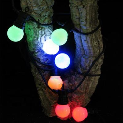 China Regular Or 8function G50 Bulb Led Fairy Scallop Christmas Decoration Party String Light for sale