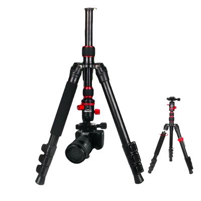 China Portable Phone Tripod ZOMEI M5 Digital Camera 360 Rotatable Camera Stand for sale