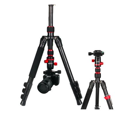 China Professional Foldable Monopod Digital Camera Travel Carbon Fiber Tripod with 360 Degree Panoramic Ball Head for Digital Slr Cameras Telescope for sale